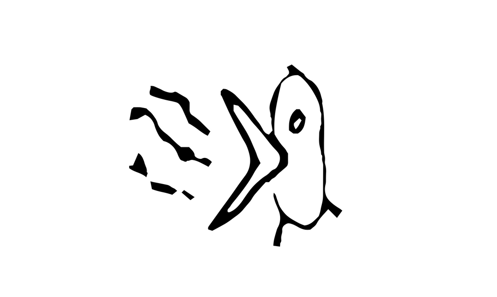 The Bird Design